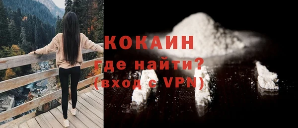 мескалин Богородицк